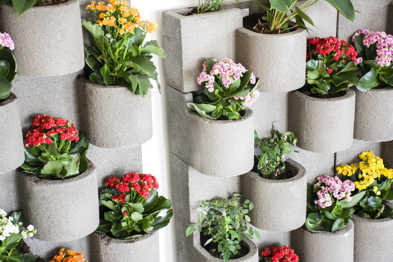 Radisson Blu Resort, Al Khobar Half Moon Bay Extérieur photo Vertical garden